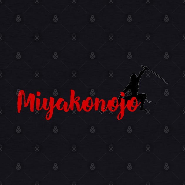 Ninja in Miyakonojo by ArtMomentum